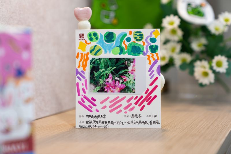 j9国际站备用拍立得文章 雨中前粉花后草